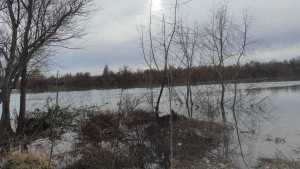 Desaparición de Fernando en Roca: siguen los rastrillajes en el río Negro a pesar de la crecida
