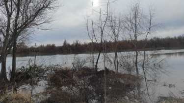 Los rastrillajes se realizan a la altura de Cervantes, en el río Negro. Foto: gentileza