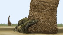Imagen de Inédito hallazgo en La Buitrera: descubren huellas de dinosaurios con marcas de piel y garras