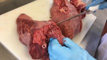 Imagen de Aditivos antioxidantes a base de un subproducto bovino