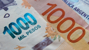 Calendario de pagos de Anses: qué prestaciones cobran esta semana que va del lunes 14 al viernes 18 de agosto