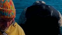 Imagen de Increíble momento en Las Grutas: «A mi amigo Nano lo espió una ballena»