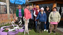 Imagen de Surfean la crisis con la jubilación en Bariloche