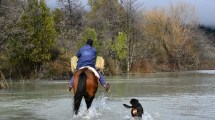 Imagen de Video: el relato de los vecinos de El Manso que llevan días aislados por el desborde del río Foyel