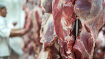 Imagen de AFIP: qué cortes de carne entran en el reintegro del 10% que promueve el organismo