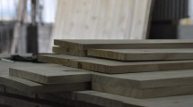 Imagen de En Neuquén: desarrollan en los primeros paneles de madera contralaminada de la Argentina