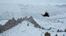 Imagen de El impresionante vuelo de un cóndor en Los Bolillos, el paraíso nevado del norte de Neuquén