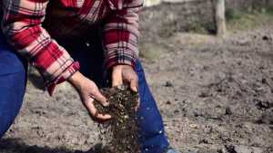 Roca multiplica emprendimientos agroecológicos