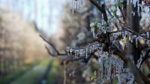 Clima en Neuquén y Río Negro hoy: el pronóstico del tiempo para este jueves 3 de agosto
