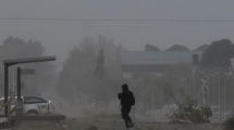 Imagen de Vientos fuertes en Neuquén: clases suspendidas en algunas localidades