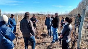 Bodegas de Neuquén se reúnen en un trabajo conjunto para impulsar su competitividad