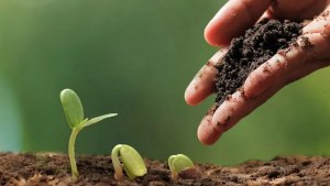 Primer Encuentro del Nodo Agroecológico Territorial Patagónico Comahue en Roca y Cinco Saltos