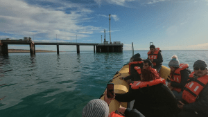 Precios de avistaje embarcado de ballenas: la suba de Puerto Madryn impactará en Las Grutas