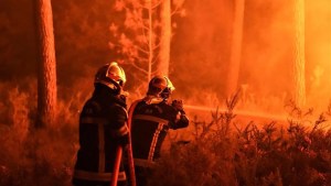 Casi 60 mil hectáreas de zonas protegidas fueron afectadas por incendios forestales en 2023
