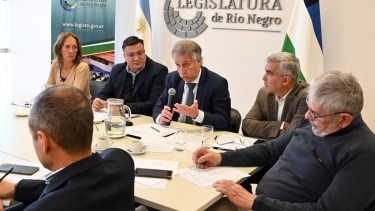 El Procurador Crespo dijo que "se busca una respuesta jurídica a un problema político". Foto: Marcelo Ochoa.  