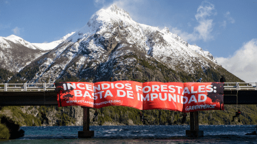 Activistas de Greenpeace protestaron con un enorme cartel que desplegaron en el puente Angostura, en Bariloche. (foto gentileza)