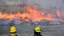 Imagen de Video: Bomberos y vecinos combatieron un voraz incendio en el oeste de Roca