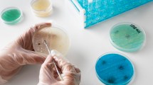 Imagen de «Elijo Crecer», un festival por la ciencia que también se hace en Neuquén y Río Negro