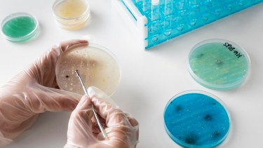 "Elijo Crecer", un festival para acercar la ciencia a la sociedad. Foto: gentileza