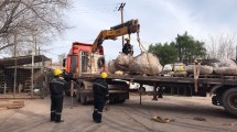 Imagen de Impactante rescate de un dinosaurio en Vaca Muerta: «Una de las piezas pesa 6 toneladas»