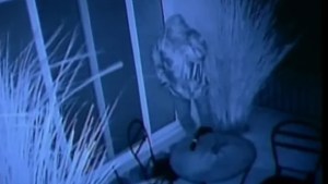 La Corte Suprema confirmó la condena para un acusado del robo a la casa de Sergio Massa