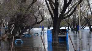 Video| Crecida del río Negro pocas veces vista en Roca: creció el caudal y hay campings bajo agua