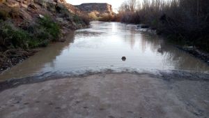 Apareció el puestero desaparecido en medio de la crecida del río Neuquén