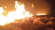 Imagen de Incendio forestal en Zapala: tras siete horas se logró controlar el fuego