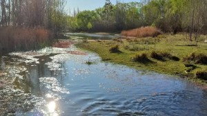 Comienzan a preparar el Paseo Costero para la temporada de verano en Fernández Oro