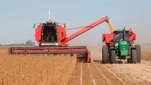 Dólar soja: la Sociedad Rural criticó el decreto y exigió «medidas integrales» tras la devaluación