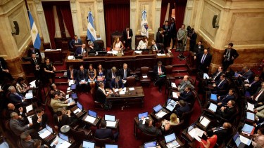 El Senado, con mayoría de Unión por la Patria. Foto Archivo.