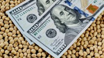 Imagen de Dólar soja: después de la devaluación, cuál será el nuevo tipo de cambio diferencial y qué dice el decreto