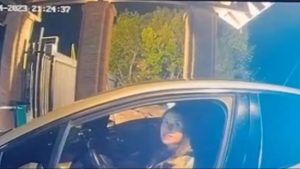 Detuvieron en Madrid a una mujer acusada de un robo millonario en un country de La Plata