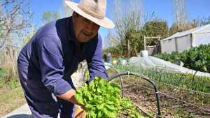 En Cipolletti la experiencia productiva se centra en La Falda