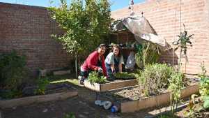 En Cipolletti se fomenta la agricultura urbana