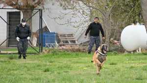 Así trabajan los cinco perros de Cipolletti que ayudan a salvar vidas