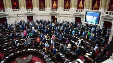 La Libertad Avanza tendrá 38 diputados, más lo que sume el PRO y posibles acuerdos con otros partidos. 