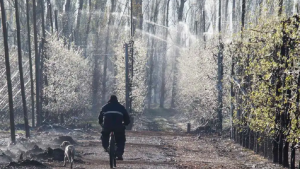 Clima en Neuquén y Río Negro: así estará el tiempo esta semana en la región