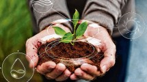 Imagen de IA: ¿enemiga o aliada de la sustentabilidad?