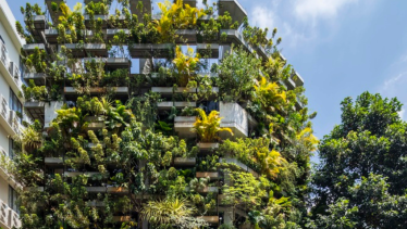 Urban Farming Office / VTN Architects. Imagen por Hiroyuki Oki . Fuente: https://www.archdaily.com/995655/urban-farming-office-vtn-architects

