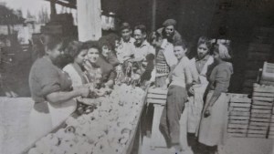 Los secaderos de frutas en Allen y esa antigua costumbre de conservar los alimentos