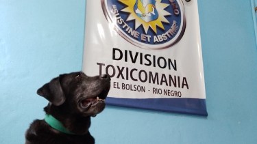Se retiran luego de 8 años en la fuerza. Foto: Gentileza.