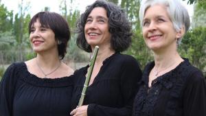 Este viernes en Casa de la Cultura: música de cámara tocada “De a Tres”