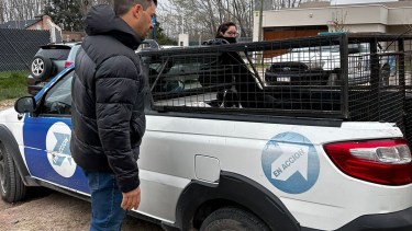 Rescataron a los perros hoy por la mañana. Foto: Gentileza.