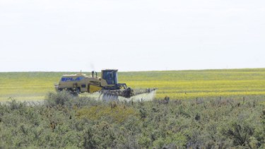 Vecinos tomaron imágenes de una fumigadora en acción en el campo que se encuentra en el Área Natural Protegida Punta Bermeja. Foto Gentileza