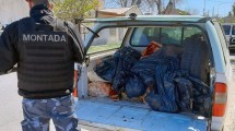 Imagen de Decomisan carne en mal estado en carnicerías del Alto Valle