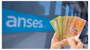 Bono para trabajadores informales: cómo anotarse y solicitarlo en ANSES