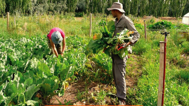 La agroecología se afianza como modelo productivo y suma experiencias en la región