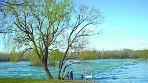 La isla sobre el Limay: 132 razones para amarla