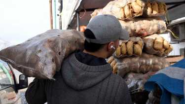 ¿Cuánto cuesta el kilo de papa? La consulta que se repite en las verdulerías de Neuquén. Foto: Matias Subat
